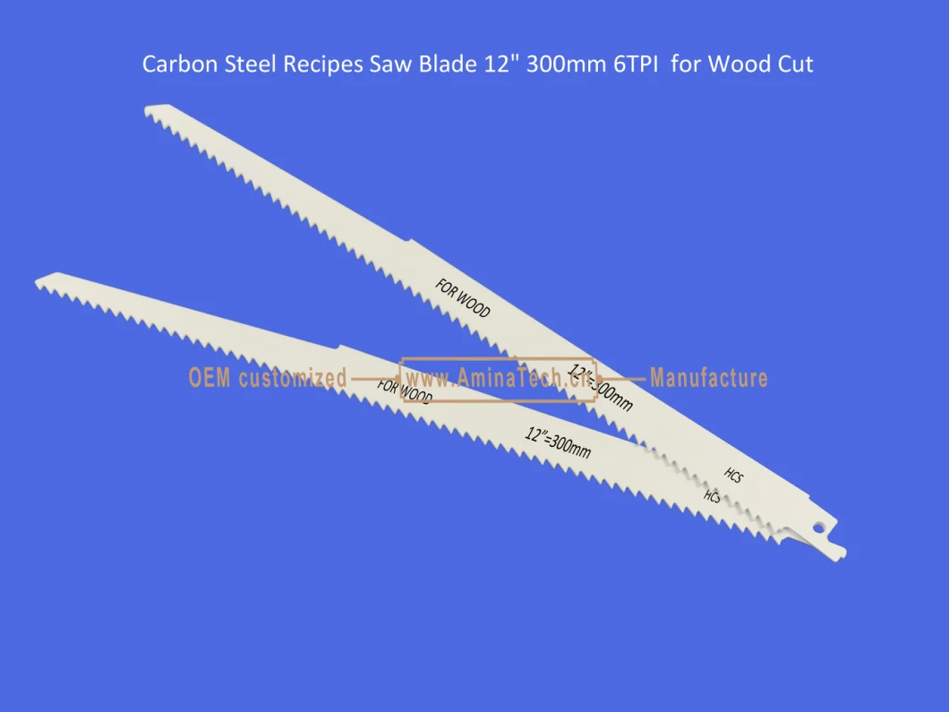 Carbon Steel Recipes Saw Blade 12