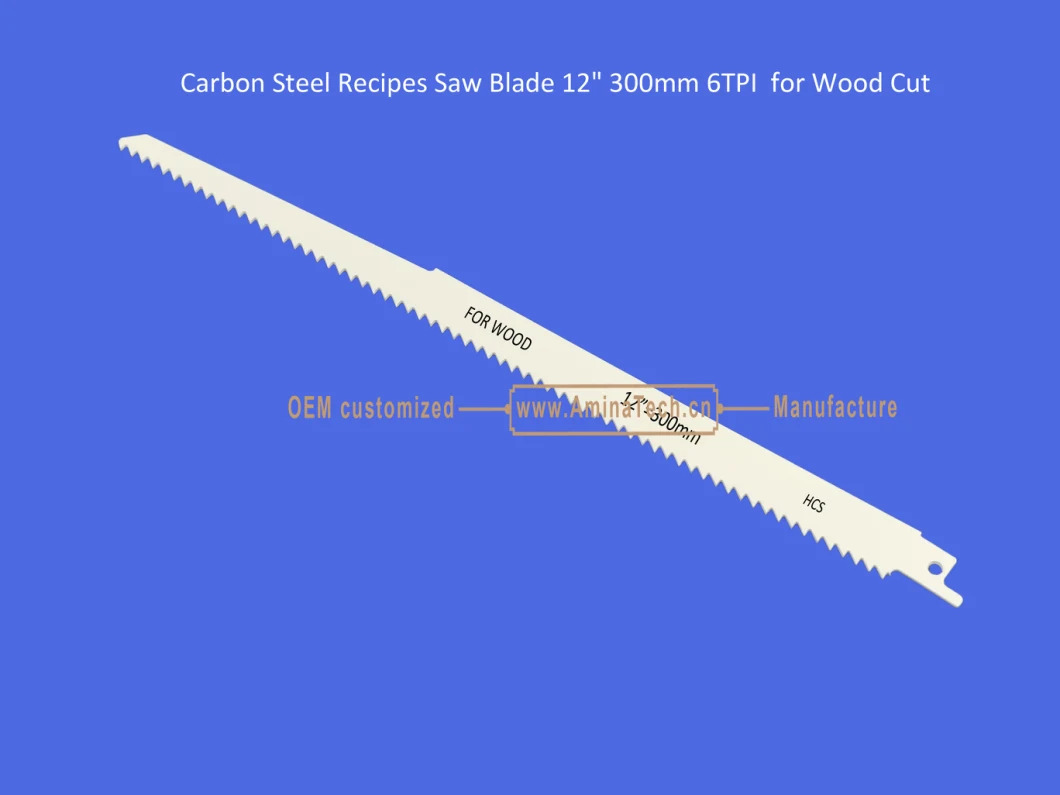 Carbon Steel Recipes Saw Blade 12